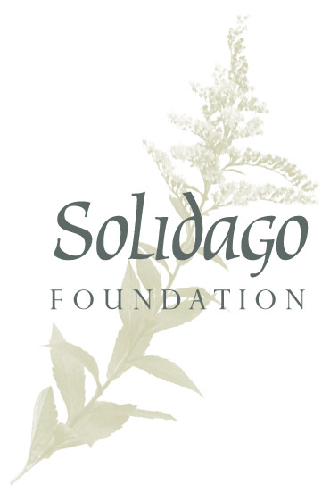 Solidago Foundation